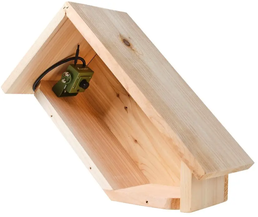 Green Feathers Handmade Wooden Side View Bird Box