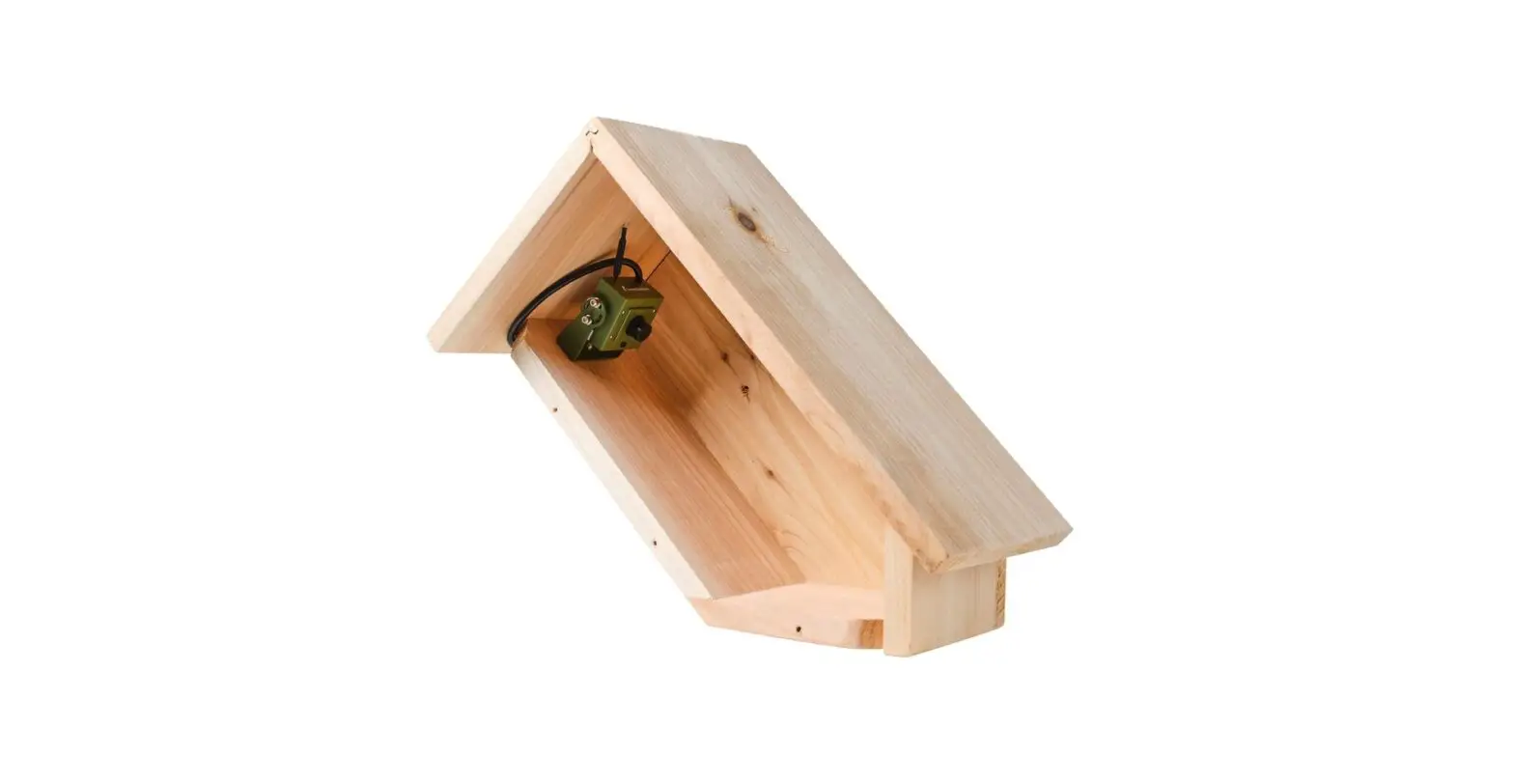 Green Feathers Handmade Wooden Side View Bird Box User Guide