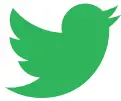 Twitter Icon