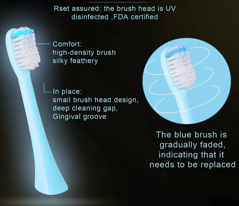 BTFO-Sonic-Electric-Toothbrush-Fig-2