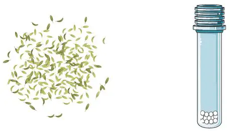 GALENVS-PR0050-12-Plant-RNA-Extraction-Kit-fig- (1)