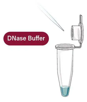 GALENVS-PR0050-12-Plant-RNA-Extraction-Kit-fig- (10)