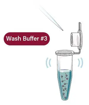 GALENVS-PR0050-12-Plant-RNA-Extraction-Kit-fig- (16)