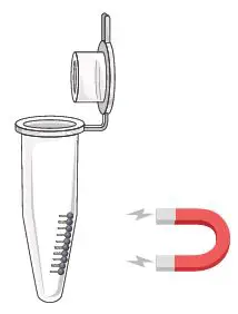 GALENVS-PR0050-12-Plant-RNA-Extraction-Kit-fig- (17)