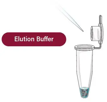 GALENVS-PR0050-12-Plant-RNA-Extraction-Kit-fig- (18)