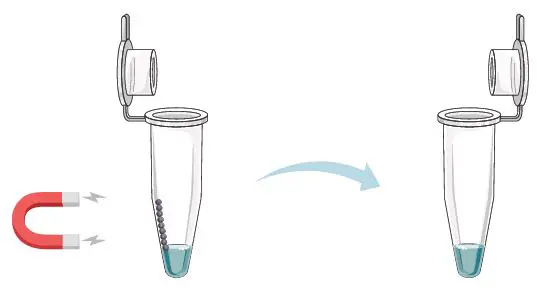 GALENVS-PR0050-12-Plant-RNA-Extraction-Kit-fig- (19)