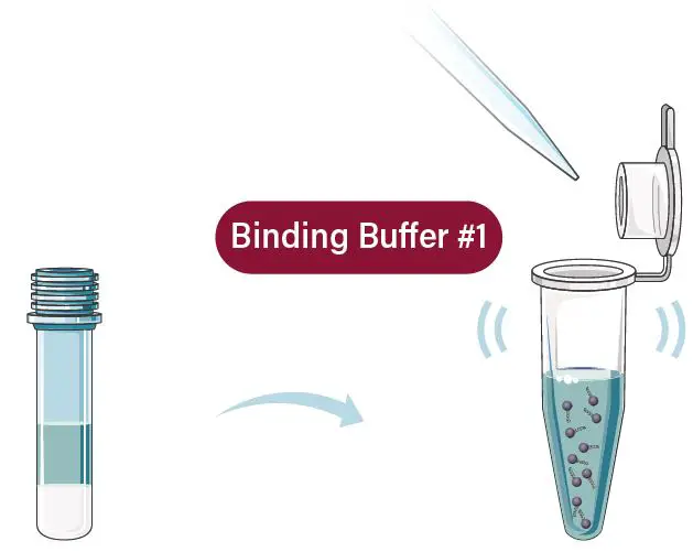 GALENVS-PR0050-12-Plant-RNA-Extraction-Kit-fig- (3)