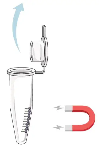 GALENVS-PR0050-12-Plant-RNA-Extraction-Kit-fig- (4)