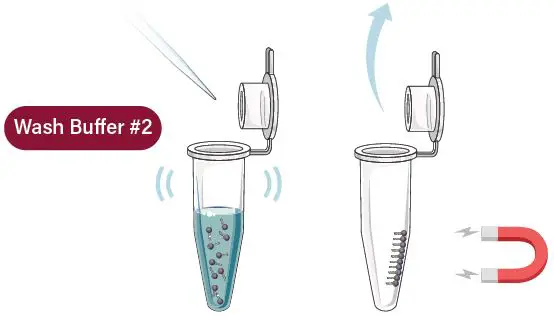GALENVS-PR0050-12-Plant-RNA-Extraction-Kit-fig- (6)