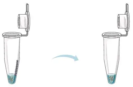 GALENVS-PR0050-12-Plant-RNA-Extraction-Kit-fig- (8)