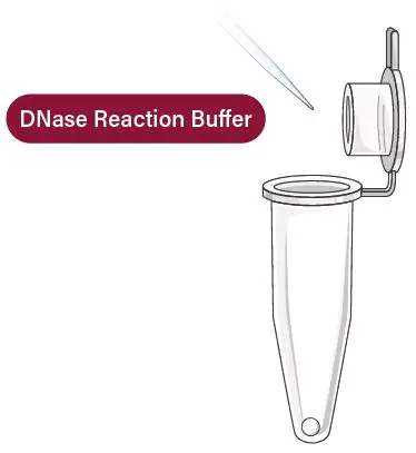 GALENVS-PR0050-12-Plant-RNA-Extraction-Kit-fig- (9)