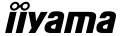iiyama Logo