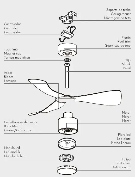 arte-confort-Celia-Ceiling-Fan-FIG-16