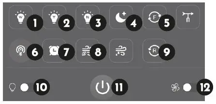 arte-confort-Celia-Ceiling-Fan-FIG-30