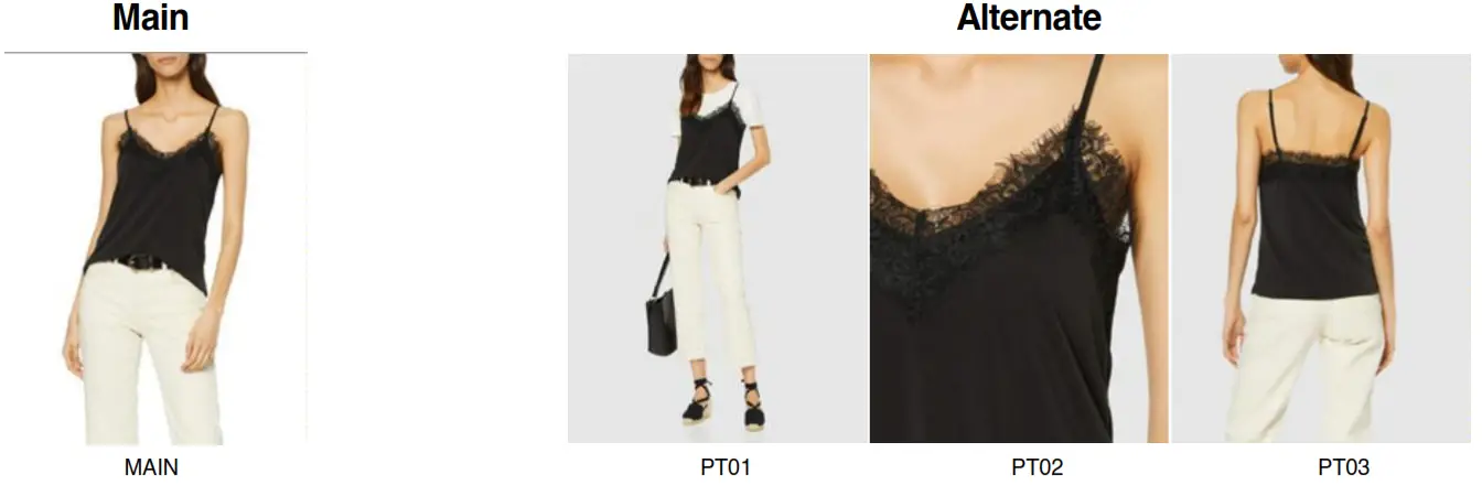 Amazon Fashion Selling Partner - Crop Guide