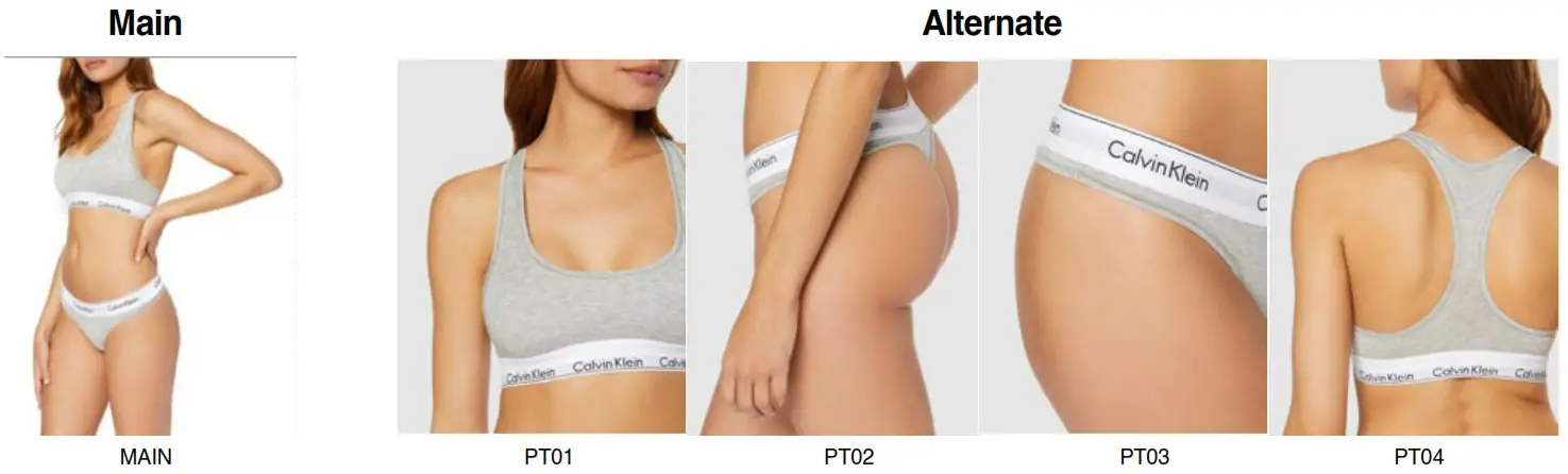 Amazon Fashion Selling Partner - MAIN Crop Guide 2