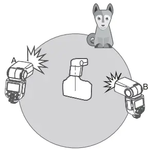 Godox TT685IIC Flash for Canon Cameras -receiver group