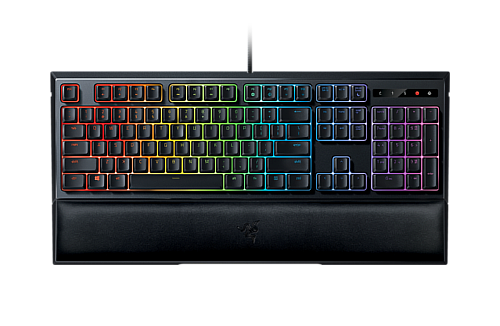 Razer Ornata Chroma Support