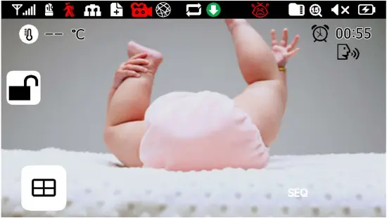 Indicator Description