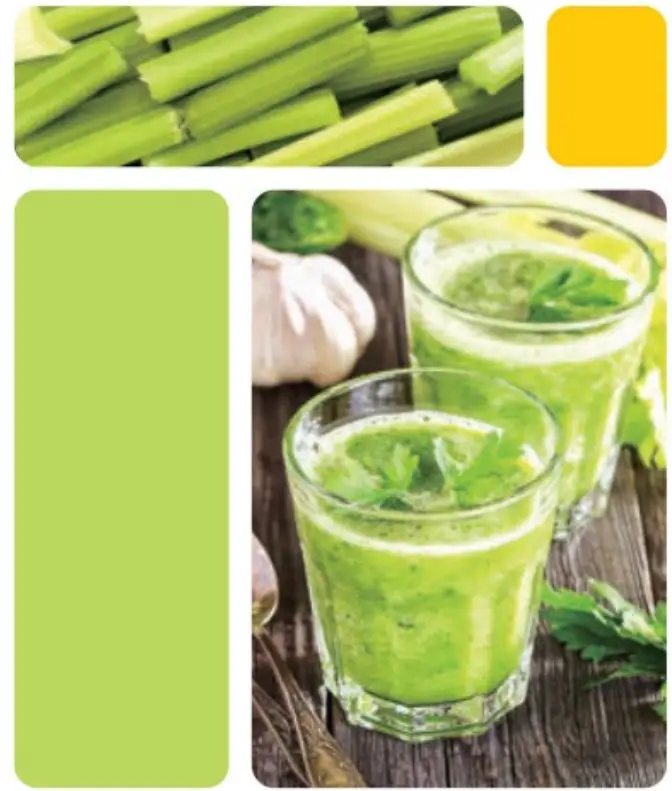 kogan KASLMJUBLKA Slow Masticating Juicer - fig 1