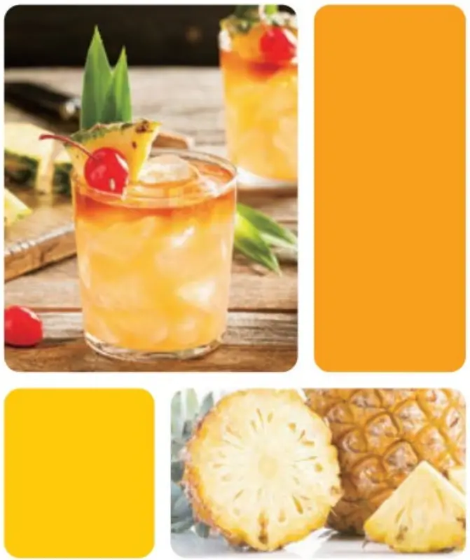 kogan KASLMJUBLKA Slow Masticating Juicer - fig 11