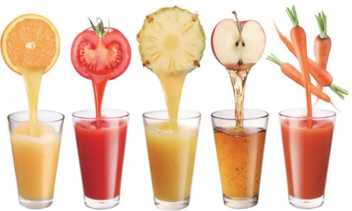 kogan KASLMJUBLKA Slow Masticating Juicer - fig 14