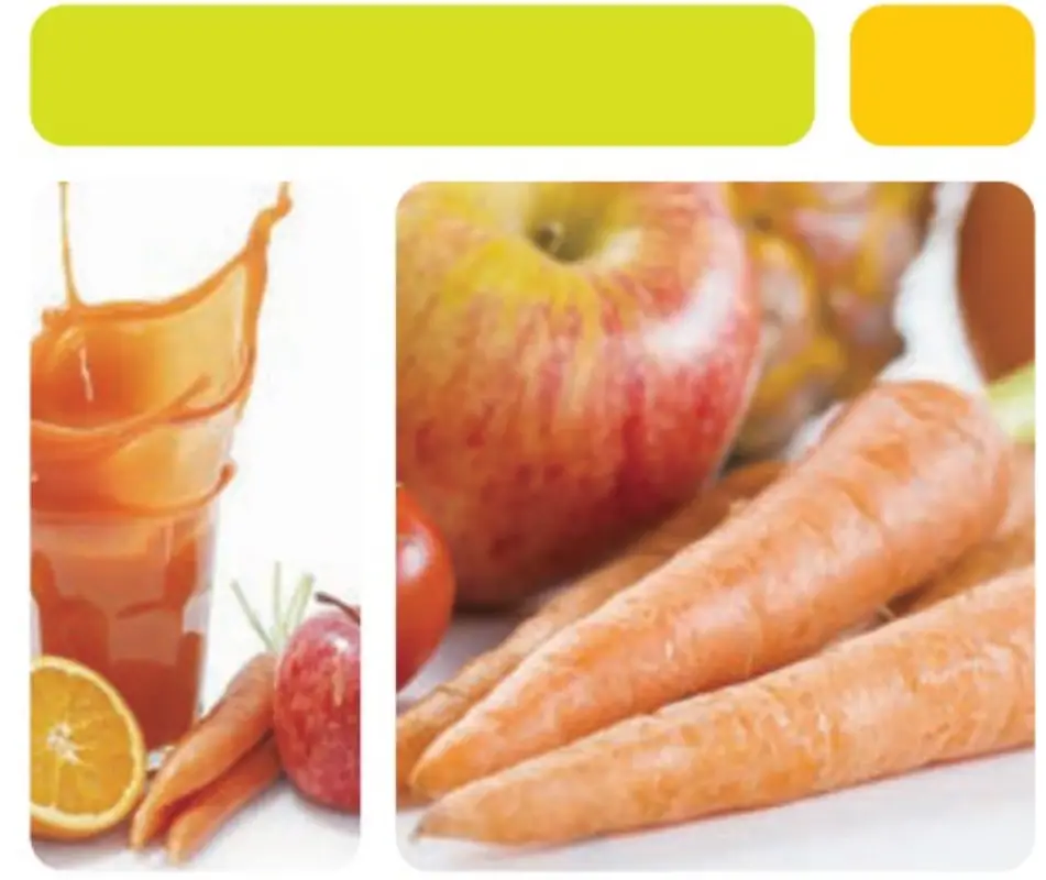 kogan KASLMJUBLKA Slow Masticating Juicer - fig 2