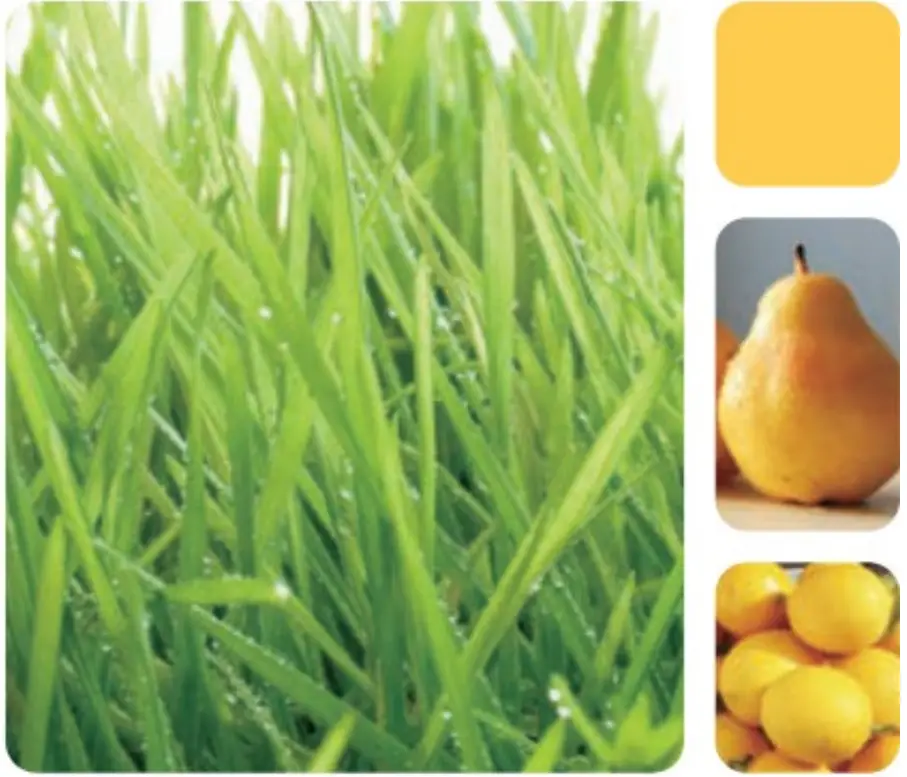 kogan KASLMJUBLKA Slow Masticating Juicer - fig 6