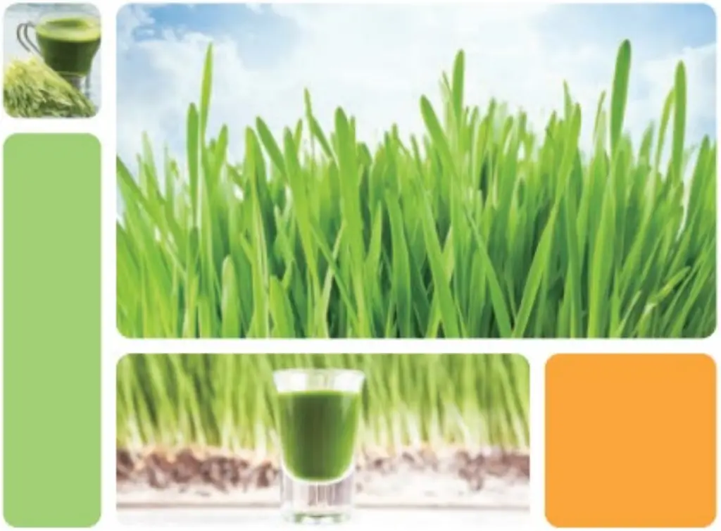 kogan KASLMJUBLKA Slow Masticating Juicer - fig 8