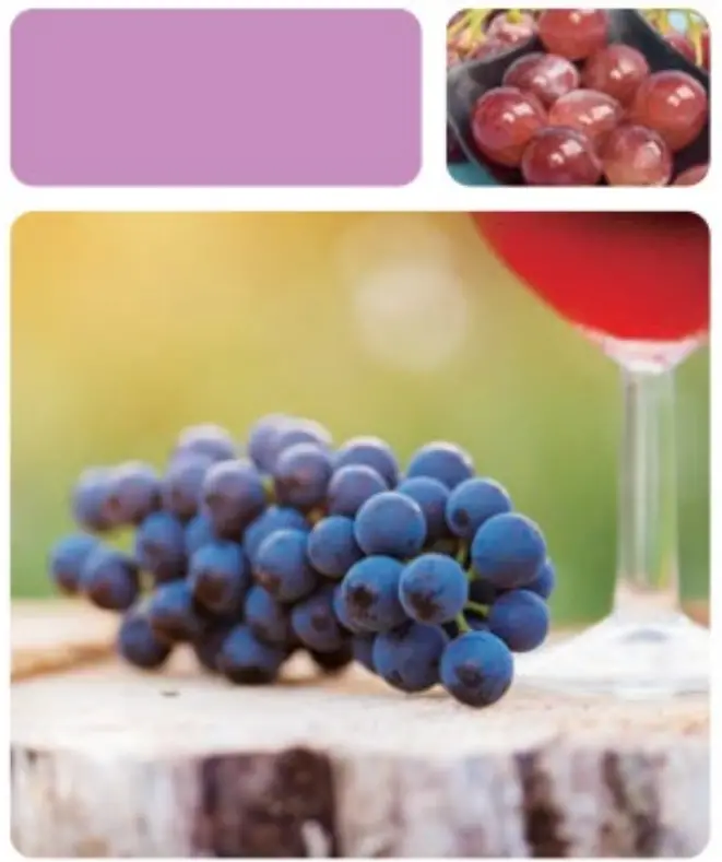 kogan KASLMJUBLKA Slow Masticating Juicer - fig 9