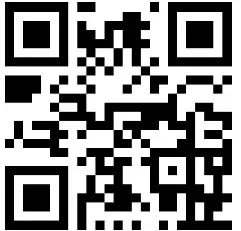 USA Toyz F100 Ghost Brushless Drone with Action Camera - qr 2