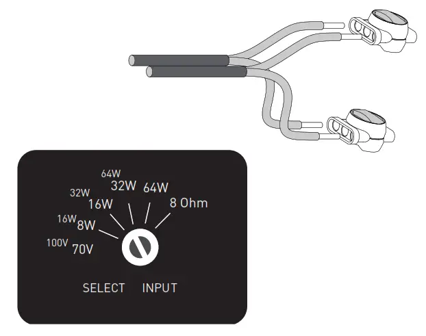 Leon TrLS50 Spike 5 25 Inch Outdoor Speaker - fiig 1