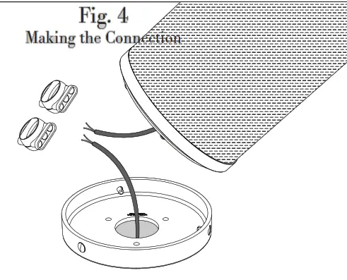 Leon TrLS50 Spike 5 25 Inch Outdoor Speaker - fiig10