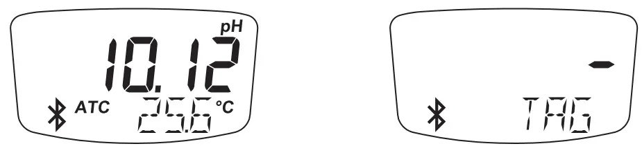 HANNA instruments HI9810422 Wireless pH Tester for Field - Icon116