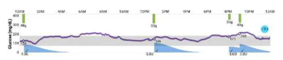 inpen LBL 00706 AH Smart Insulin Pen Daily Chart