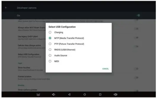 ViewClix-10.1-Inch-LCD-IPS-Panel-Smart-Frame-8