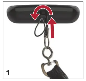 Starkey 610 2.4 GHz Remote Control -FIG1