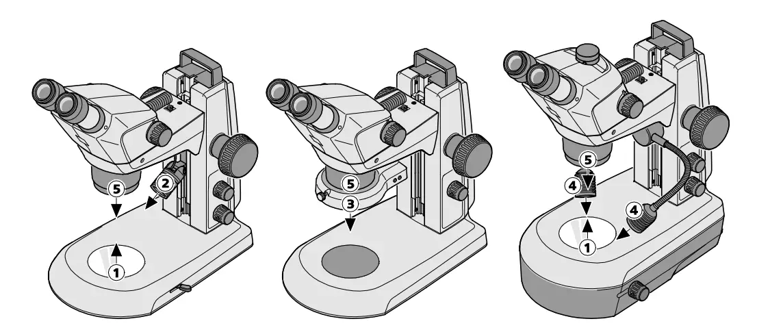 ZEISS Stemi 305 Stereo Microscope - Figure 2