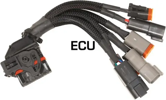 Carli Fitment 2017 - ECU HARNESS