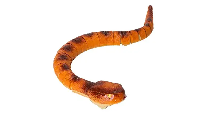 Odyssey Angry Anaconda Instruction Manual