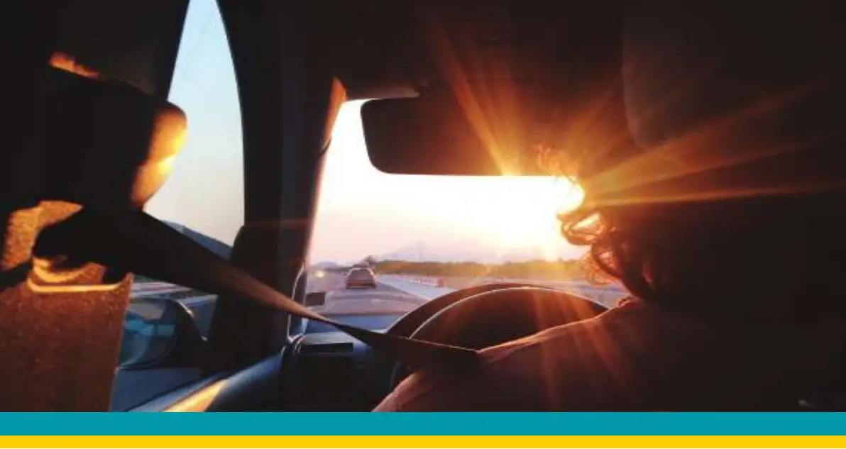 ECHOMASTER P-BUA-F150-21 Wiring Harness 1