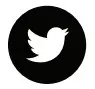 Twitter Icon
