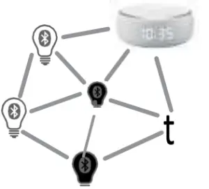 Mesh Network Setup