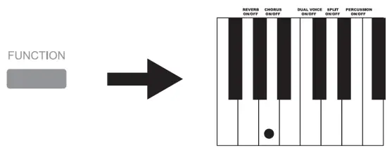 DONNER SE-1 Portable Digital Piano fig 12