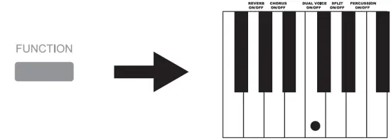 DONNER SE-1 Portable Digital Piano fig 13