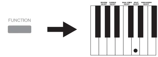 DONNER SE-1 Portable Digital Piano fig 14