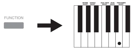 DONNER SE-1 Portable Digital Piano fig 16