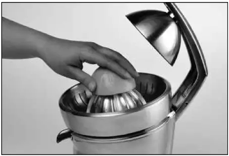 Breville 800CP The Citrus Press Pro Juicer - fig145