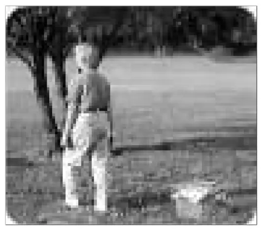 HAVAHART Large 1 -- Contract as anaimal