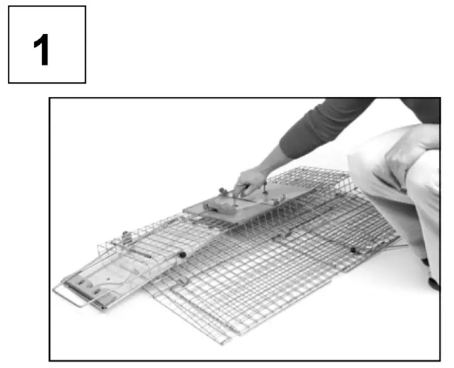 HAVAHART Large 1 -- Overview 1`
